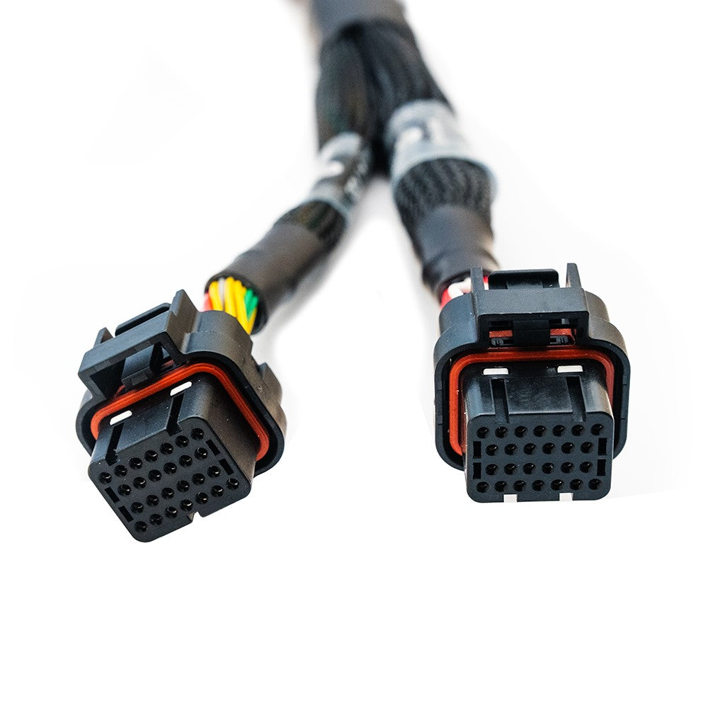 Unterminated wiring harness to install the FT700 ECU - customized engine management system installation for C and D connector. 